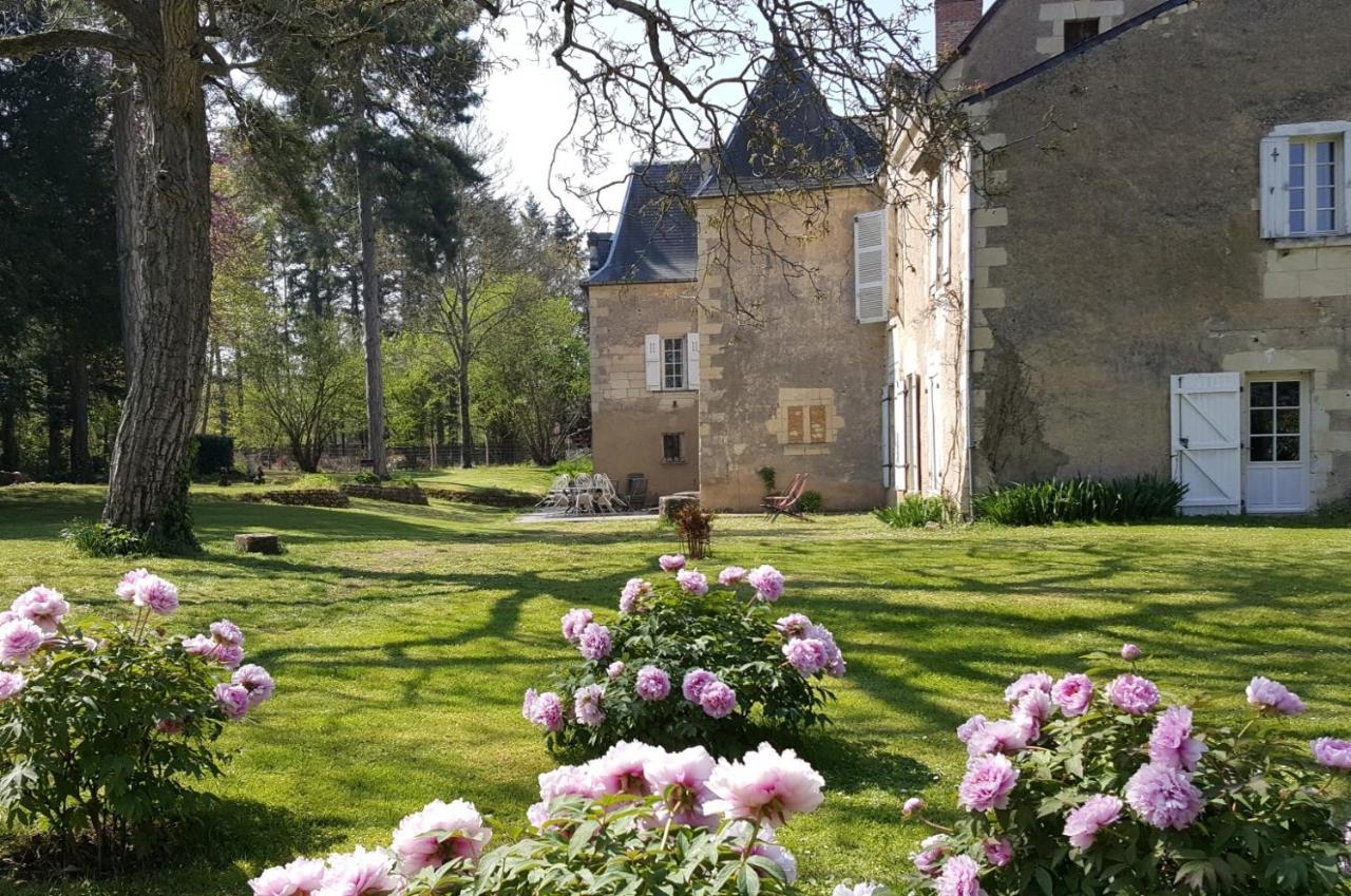 Bed and Breakfast Manoir Du Bellay Montreuil-Bellay Exteriér fotografie